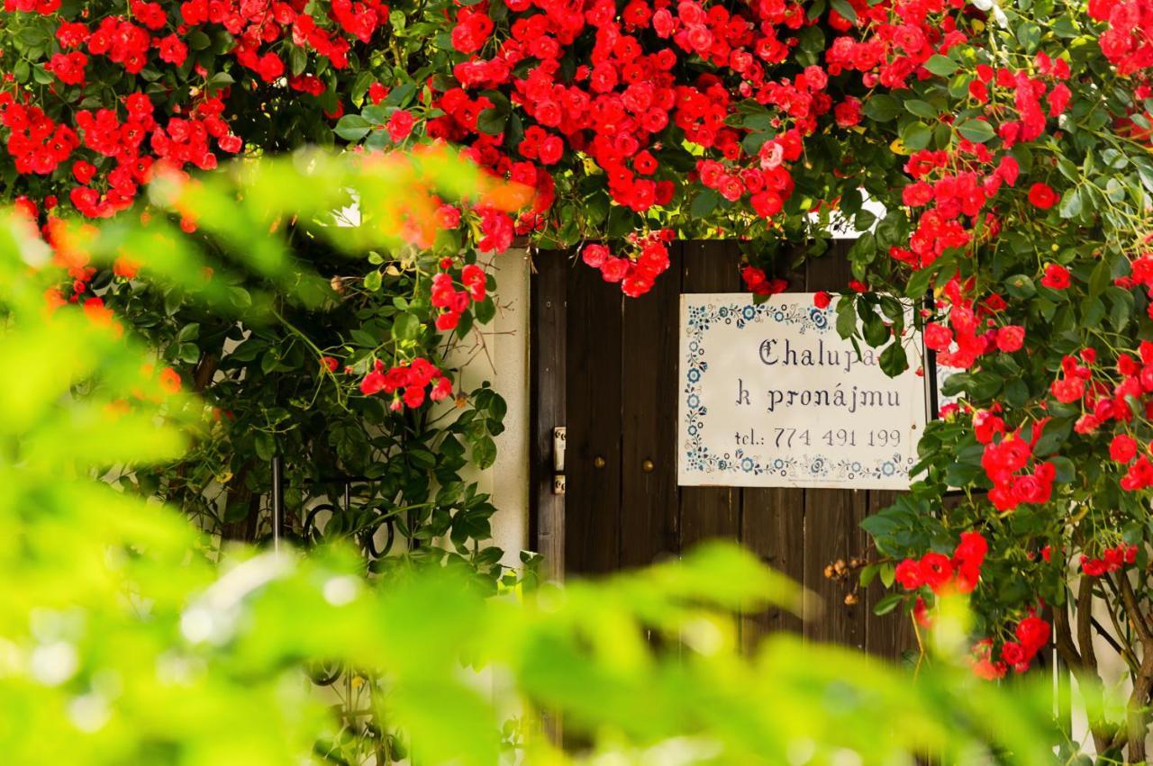 Chalupa U Capu Nove Mlyny Exterior foto
